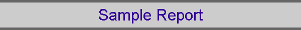 Sample Report